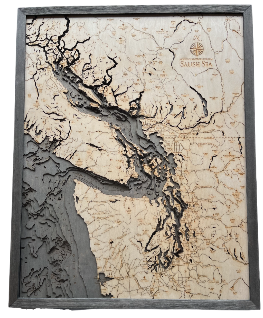 Nautical 3-D Wall Map - Salish Sea