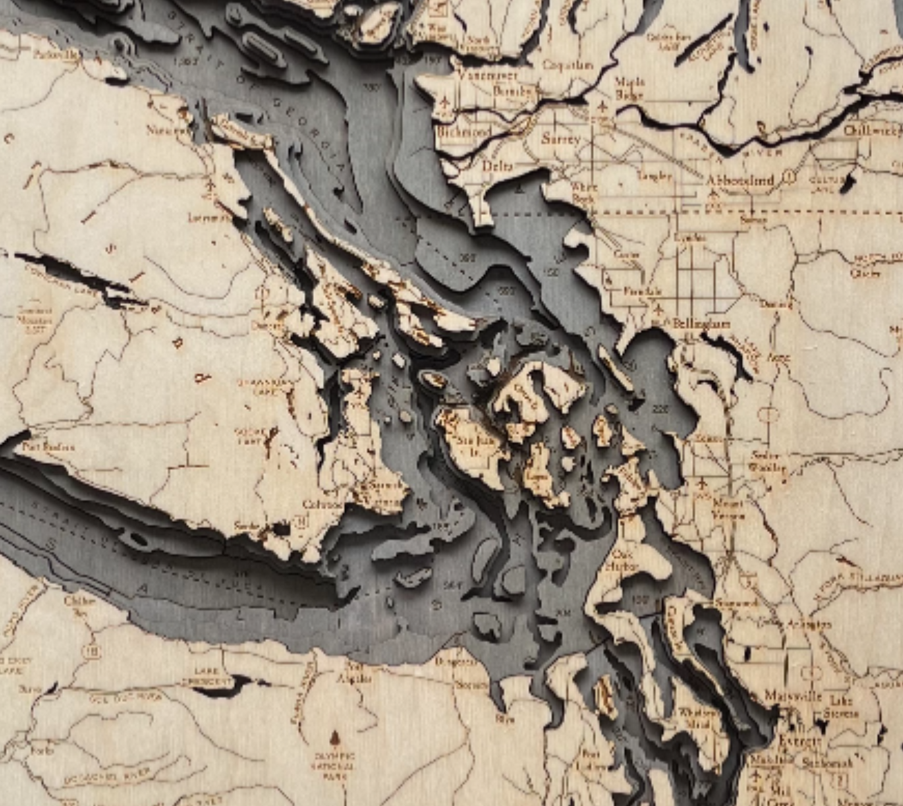 Nautical 3-D Wall Map - Salish Sea